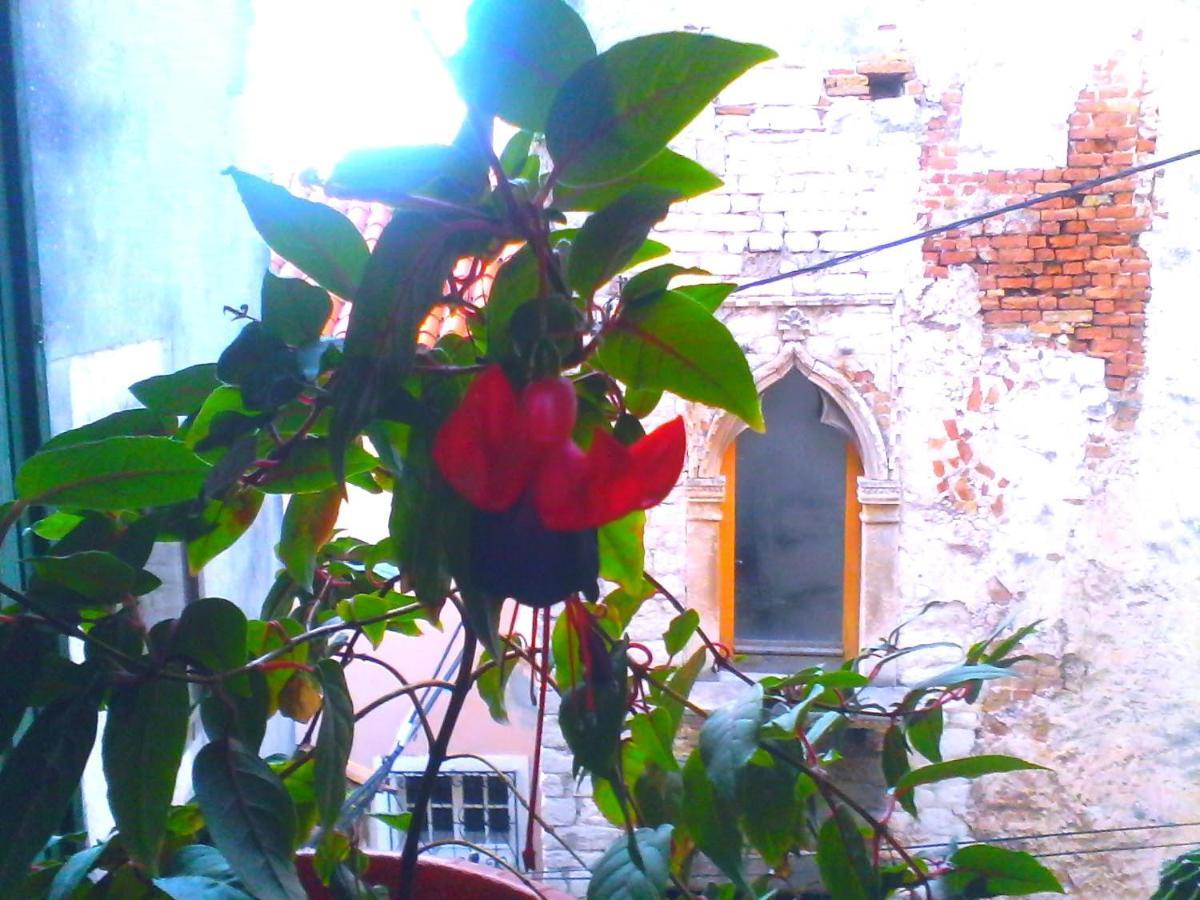 Apartment Sibenik Johnny'S Place Exterior photo